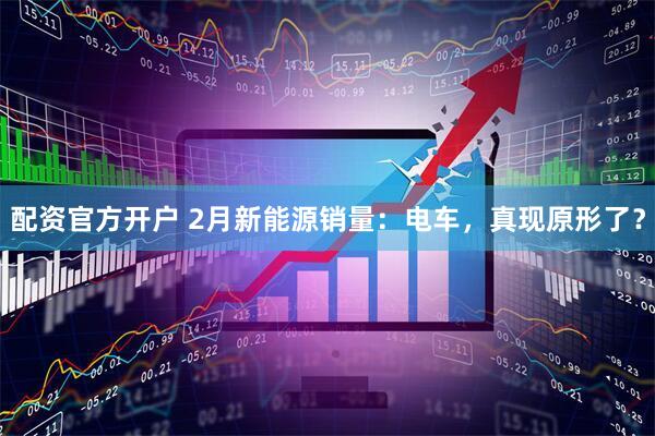 配资官方开户 2月新能源销量：电车，真现原形了？