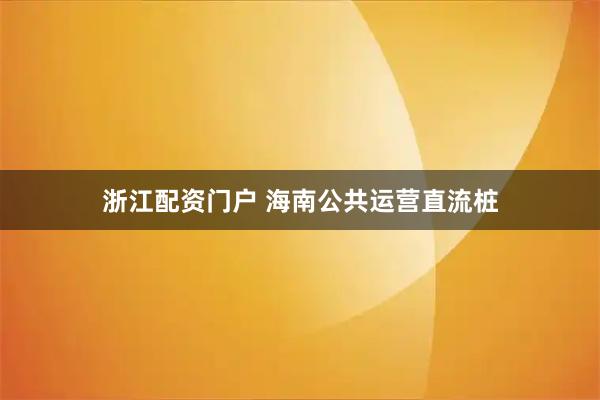 浙江配资门户 海南公共运营直流桩
